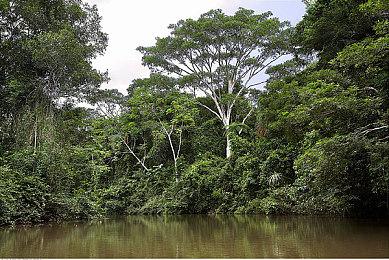 2D冒险平台《聚点危机：英雄联盟外传》5月23日发售 登陆全平台